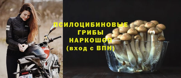 spice Алексин