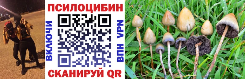 Псилоцибиновые грибы мицелий  Балашиха 